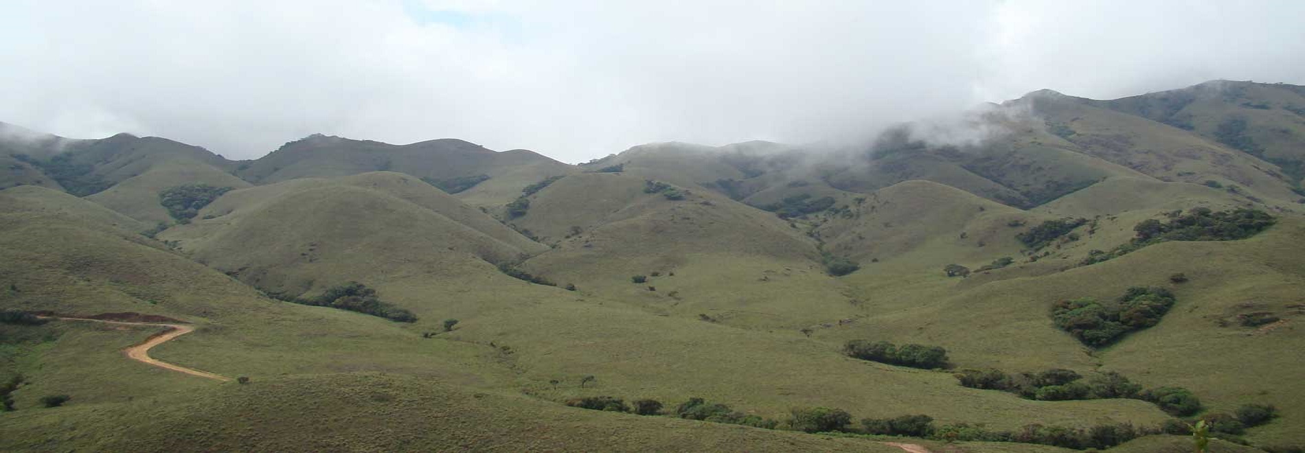 ATTAPADI View